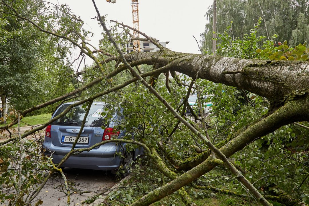 découvrez comment protéger votre véhicule contre les dommages causés par les orages avec nos assurances auto adaptées. bénéficiez d'une couverture complète pour faire face aux intempéries et rouler en toute sérénité.