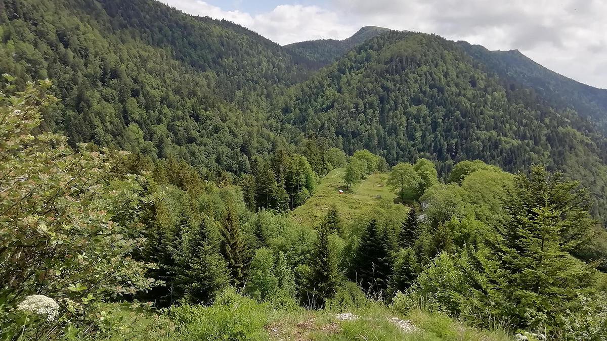 découvrez notre podcast captivant qui vous emmène faire une balade unique en tesla autonome à travers les rues emblématiques de paris. plongez dans une expérience innovante alliant technologie et découverte urbaine.