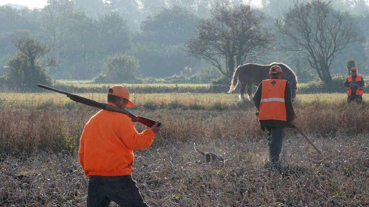 découvrez comment la hausse des primes d'assurances auto et moto impacte vos finances, tandis que les indemnisations deviennent moins avantageuses. informez-vous pour mieux protéger vos véhicules.