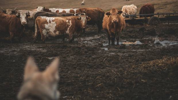 découvrez comment la hausse des primes d'assurances auto et moto impacte vos coûts, tandis que les indemnisations se réduisent. conseils pour bien choisir votre contrat.