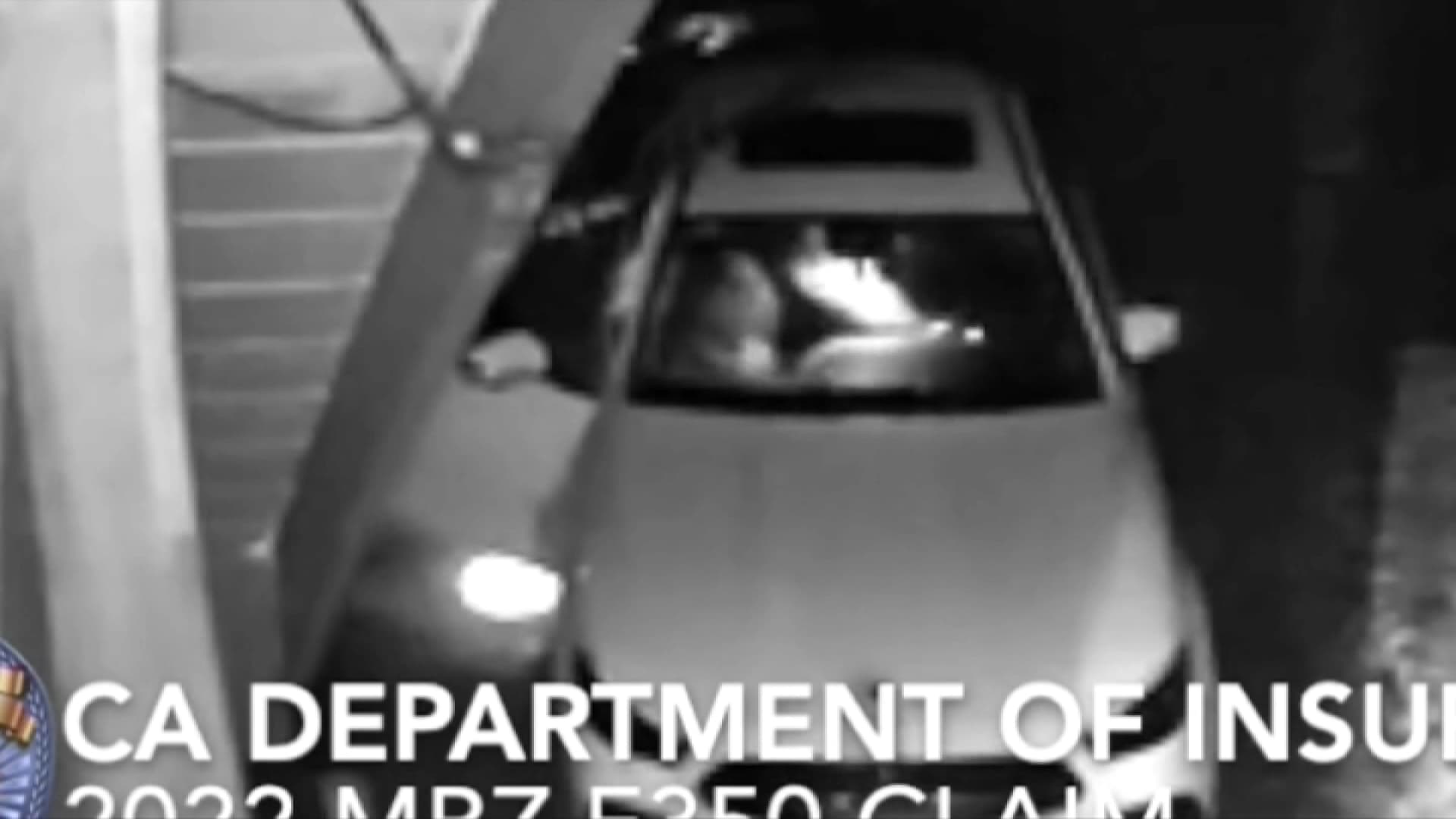 découvrez l'incroyable affaire de fraude à l'assurance impliquant trois américains déguisés en ours, une arnaque originale et surprenante.