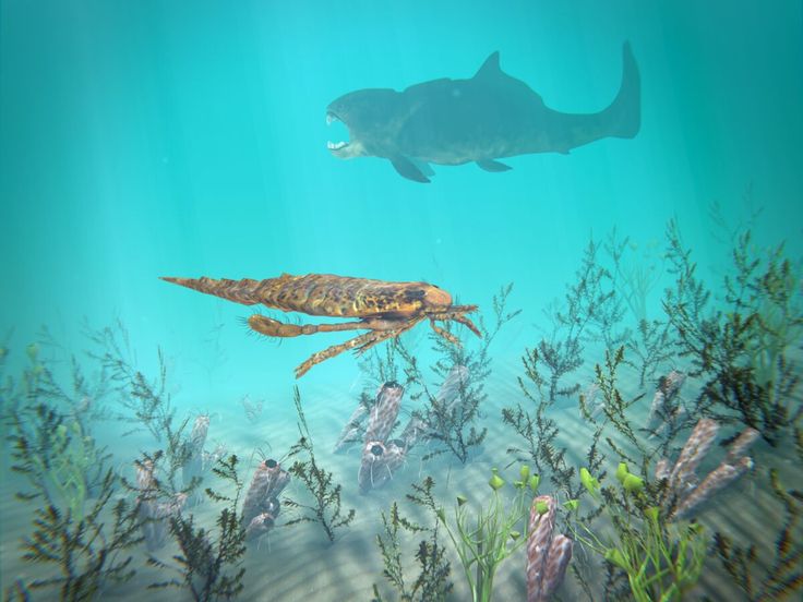 hsbc met en garde contre un effondrement historique potentiel de tesla, analysant les risques majeurs qui pourraient impacter la valeur du géant automobile.