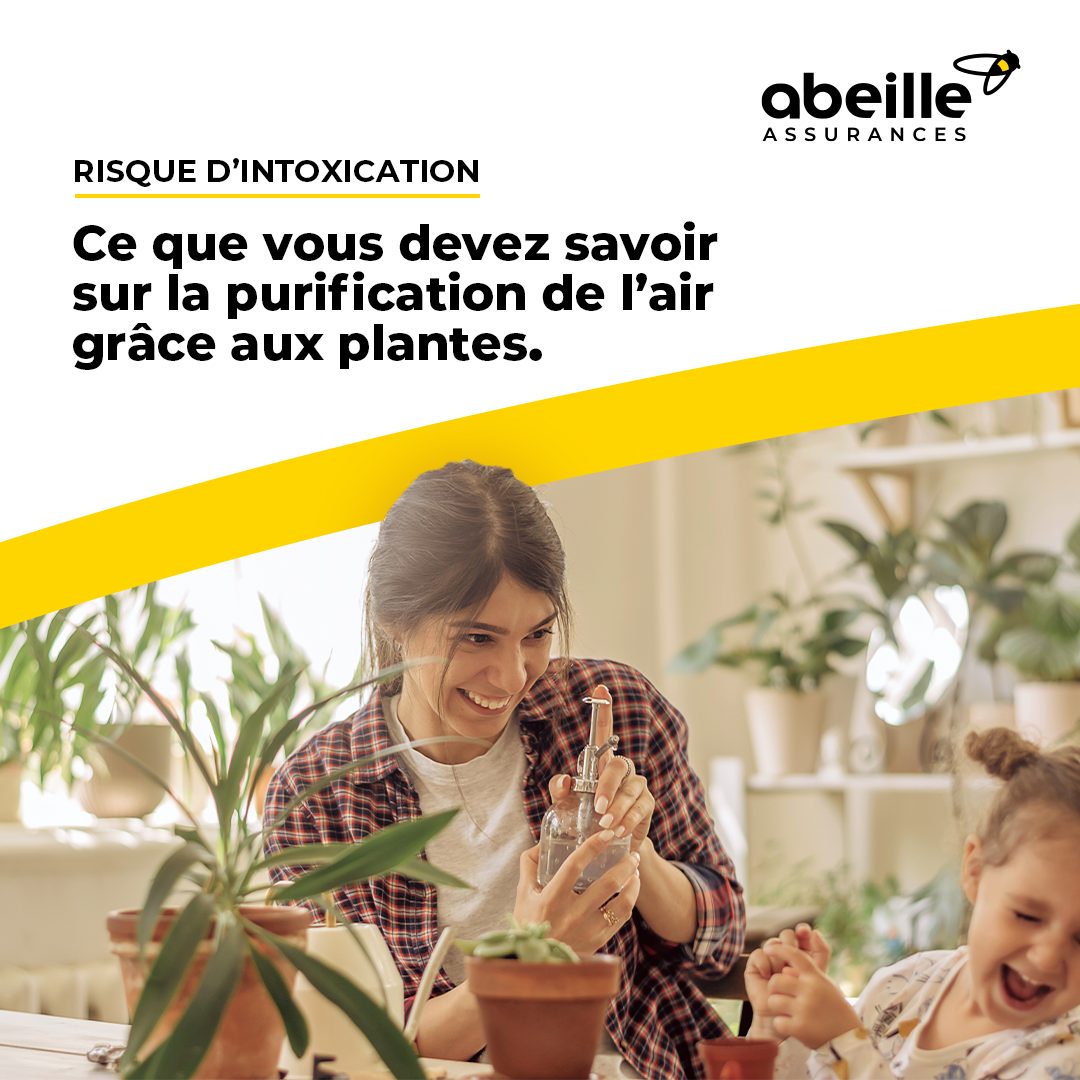 découvrez le nouveau souffle d'abeille assurances à rodez et decazeville : des solutions d'assurance innovantes et un service client renforcé pour mieux vous protéger.